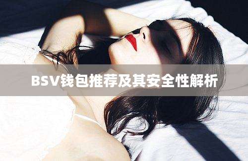 BSV钱包推荐及其安全性解析