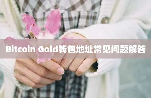 Bitcoin Gold钱包地址常见问题解答