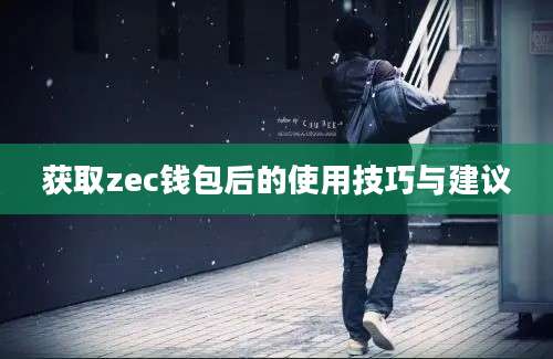 获取zec钱包后的使用技巧与建议