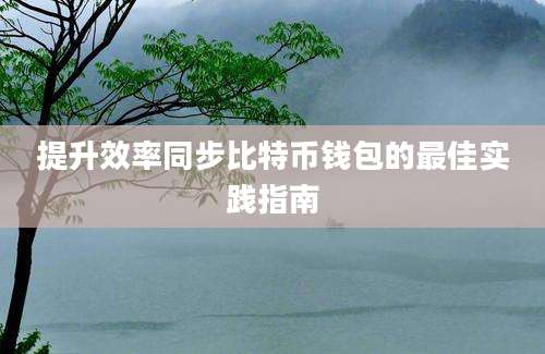 提升效率同步比特币钱包的最佳实践指南