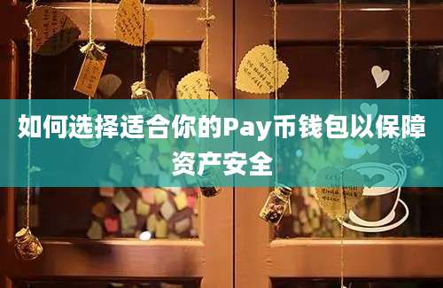 如何选择适合你的Pay币钱包以保障资产安全