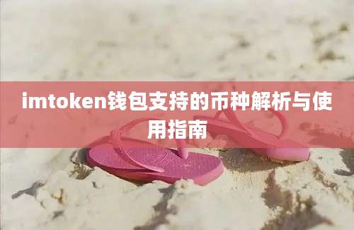 imtoken钱包支持的币种解析与使用指南