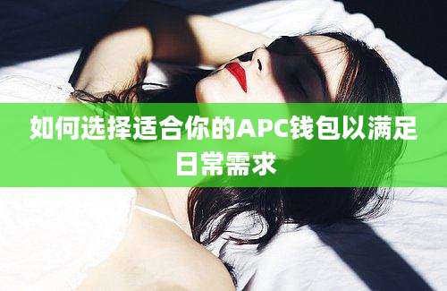 如何选择适合你的APC钱包以满足日常需求