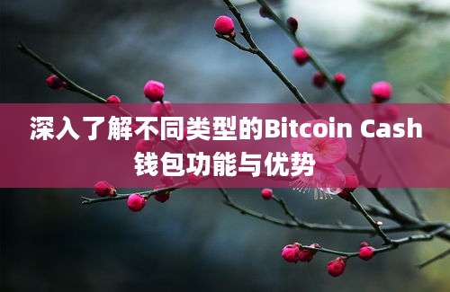 深入了解不同类型的Bitcoin Cash钱包功能与优势