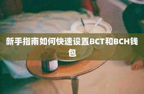 新手指南如何快速设置BCT和BCH钱包