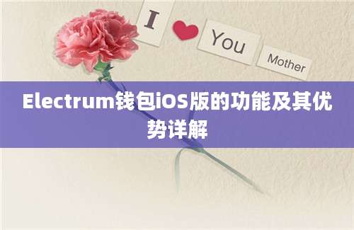 Electrum钱包iOS版的功能及其优势详解