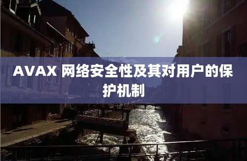 AVAX 网络安全性及其对用户的保护机制