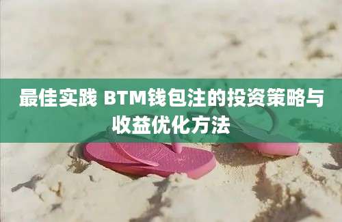 最佳实践 BTM钱包注的投资策略与收益优化方法