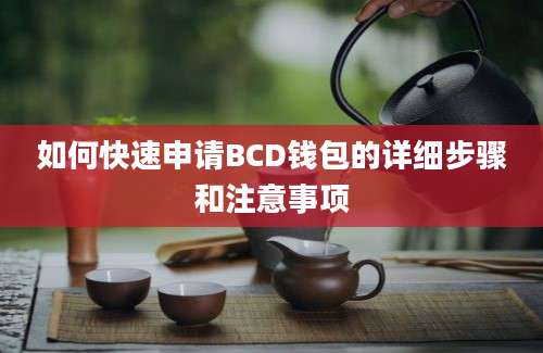 如何快速申请BCD钱包的详细步骤和注意事项