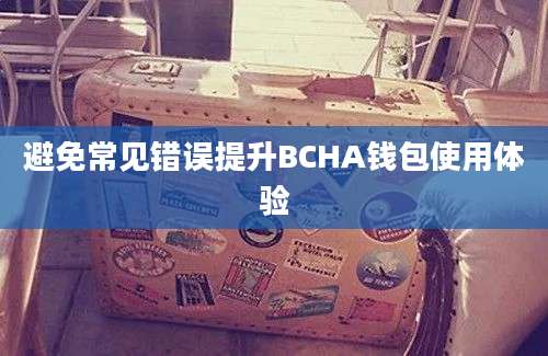 避免常见错误提升BCHA钱包使用体验