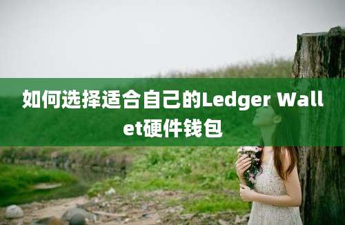 如何选择适合自己的Ledger Wallet硬件钱包