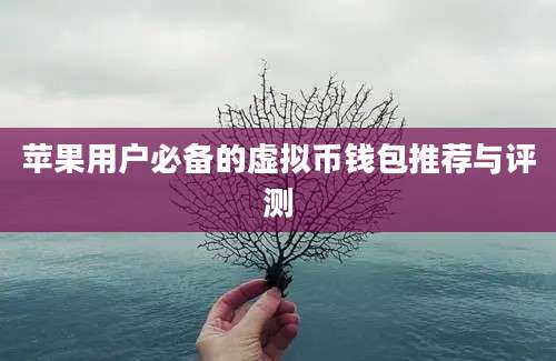 苹果用户必备的虚拟币钱包推荐与评测