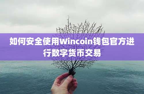 如何安全使用Wincoin钱包官方进行数字货币交易