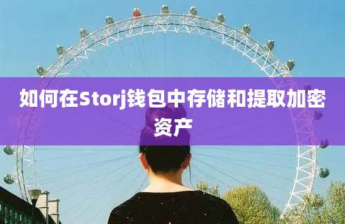 如何在Storj钱包中存储和提取加密资产