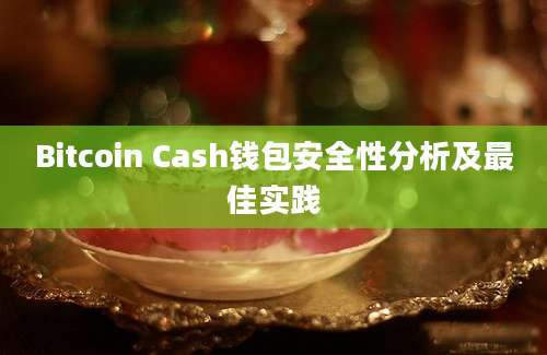 Bitcoin Cash钱包安全性分析及最佳实践