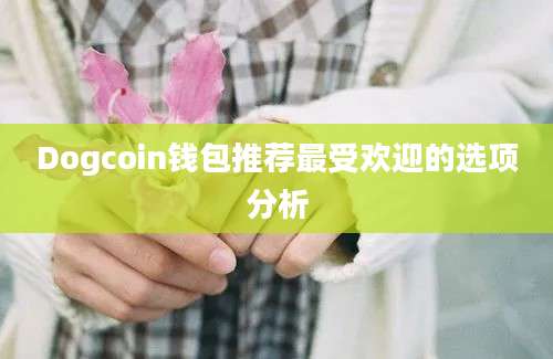 Dogcoin钱包推荐最受欢迎的选项分析