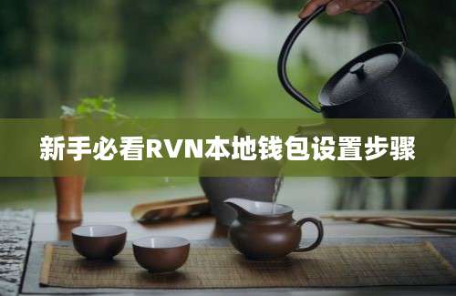 新手必看RVN本地钱包设置步骤