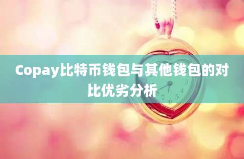 Copay比特币钱包与其他钱包的对比优劣分析