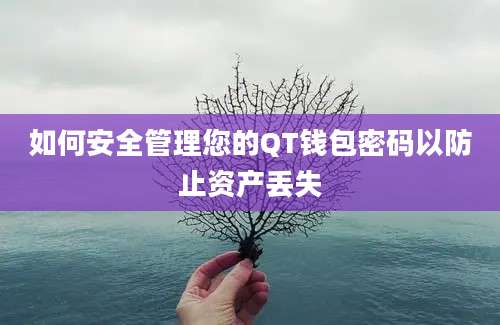 如何安全管理您的QT钱包密码以防止资产丢失