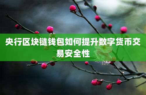 央行区块链钱包如何提升数字货币交易安全性