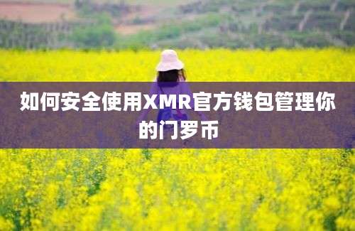 如何安全使用XMR官方钱包管理你的门罗币