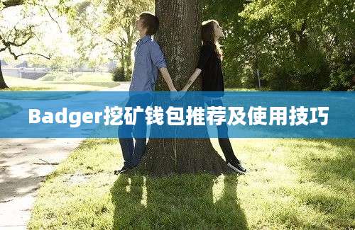 Badger挖矿钱包推荐及使用技巧