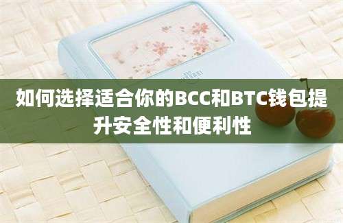 如何选择适合你的BCC和BTC钱包提升安全性和便利性