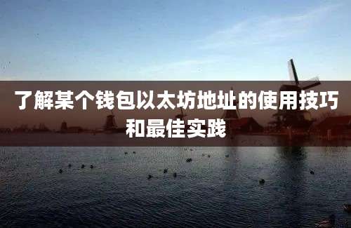 了解某个钱包以太坊地址的使用技巧和最佳实践