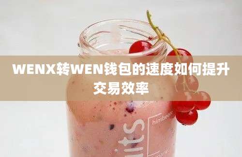 WENX转WEN钱包的速度如何提升交易效率